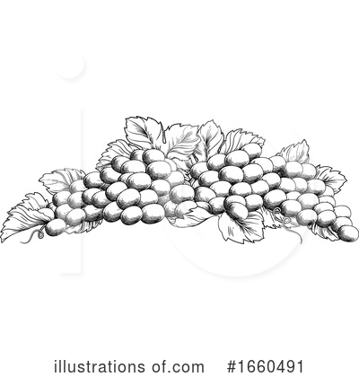 Royalty-Free (RF) Grapes Clipart Illustration by AtStockIllustration - Stock Sample #1660491