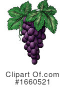 Grapes Clipart #1660521 by AtStockIllustration
