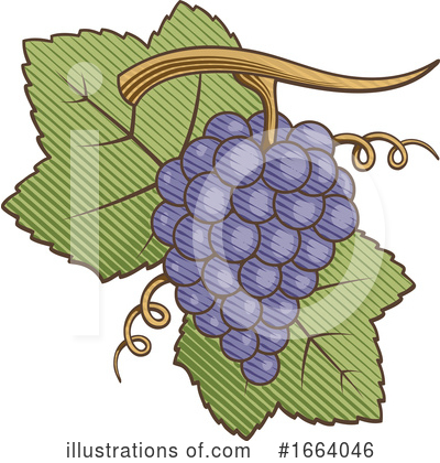 Royalty-Free (RF) Grapes Clipart Illustration by Any Vector - Stock Sample #1664046