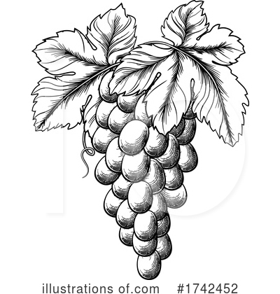 Grapes Clipart #1742452 by AtStockIllustration