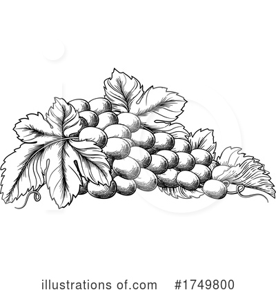 Grape Vine Clipart #1749800 by AtStockIllustration