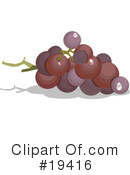 Grapes Clipart #19416 by Vitmary Rodriguez