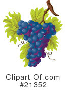 Grapes Clipart #21352 by Paulo Resende