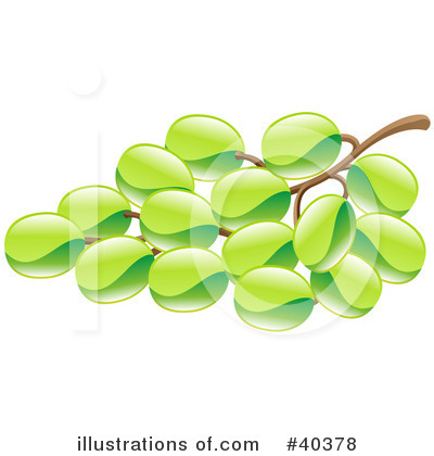 Grapes Clipart #40378 by AtStockIllustration