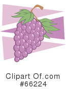 Grapes Clipart #66224 by Prawny