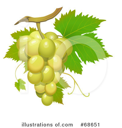 Royalty-Free (RF) Grapes Clipart Illustration by Oligo - Stock Sample #68651