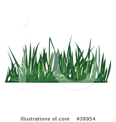 Plants Clipart #38954 by Tonis Pan