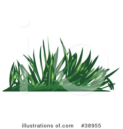Royalty-Free (RF) Grass Clipart Illustration by Tonis Pan - Stock Sample #38955