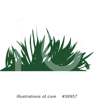 Plants Clipart #38957 by Tonis Pan