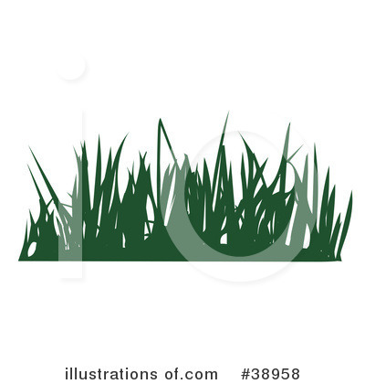 Plants Clipart #38958 by Tonis Pan