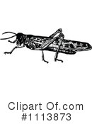 Grasshopper Clipart #1113873 by Prawny Vintage