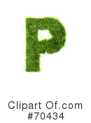 Grassy Symbol Clipart #70434 by chrisroll