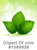 Green Leaves Clipart #1089836 by elaineitalia