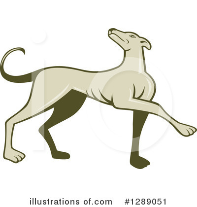 Greyhound Clipart #1289051 by patrimonio