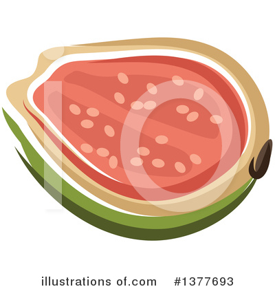 Guava Clipart #1377693 by Vector Tradition SM