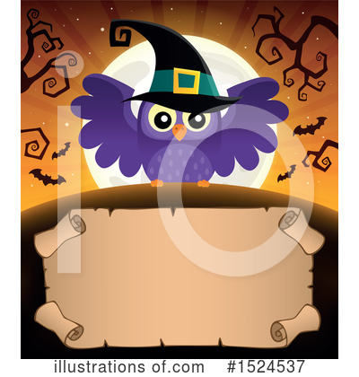 Witch Owl Clipart #1524537 by visekart