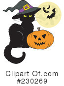 Halloween Clipart #230269 by visekart
