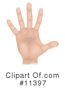 Hand Clipart #11397 by AtStockIllustration