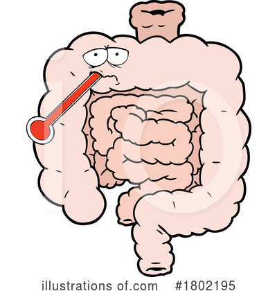 Intestines Clipart #1802195 by lineartestpilot