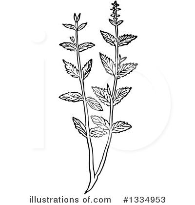 Royalty-Free (RF) Herb Clipart Illustration by Picsburg - Stock Sample #1334953