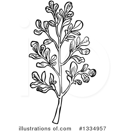 Royalty-Free (RF) Herb Clipart Illustration by Picsburg - Stock Sample #1334957