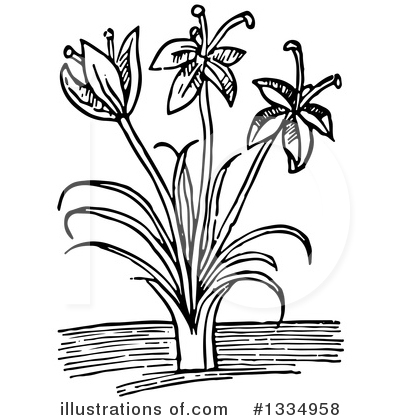 Royalty-Free (RF) Herb Clipart Illustration by Picsburg - Stock Sample #1334958