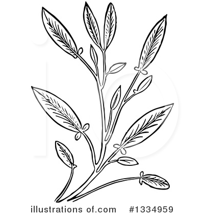 Royalty-Free (RF) Herb Clipart Illustration by Picsburg - Stock Sample #1334959