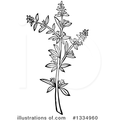 Plant Clipart #1334960 by Picsburg