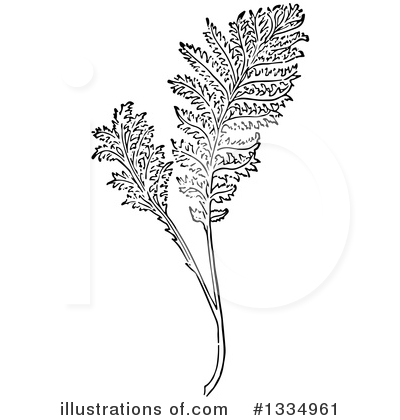 Royalty-Free (RF) Herb Clipart Illustration by Picsburg - Stock Sample #1334961