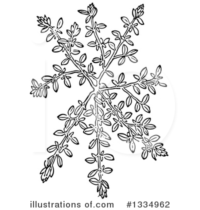 Royalty-Free (RF) Herb Clipart Illustration by Picsburg - Stock Sample #1334962
