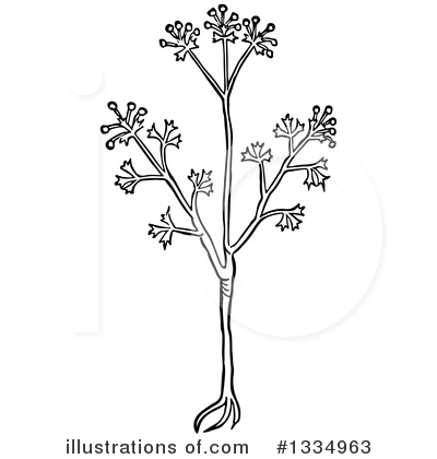 Royalty-Free (RF) Herb Clipart Illustration by Picsburg - Stock Sample #1334963