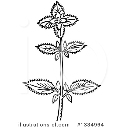 Plant Clipart #1334964 by Picsburg