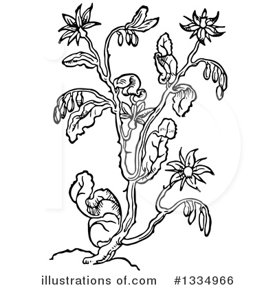 Royalty-Free (RF) Herb Clipart Illustration by Picsburg - Stock Sample #1334966