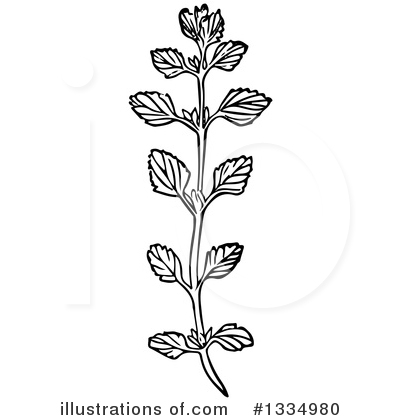 Herb Clipart #1334980 by Picsburg