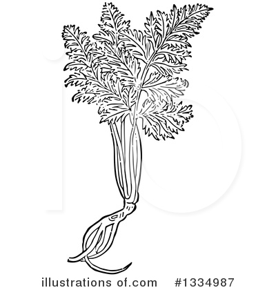 Royalty-Free (RF) Herb Clipart Illustration by Picsburg - Stock Sample #1334987