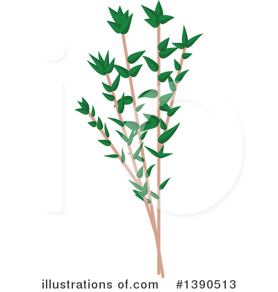 Royalty-Free (RF) Herb Clipart Illustration by Vector Tradition SM - Stock Sample #1390513