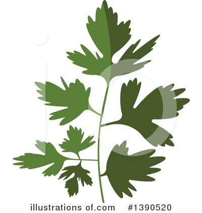 Herbs Clipart #1390520 by Vector Tradition SM