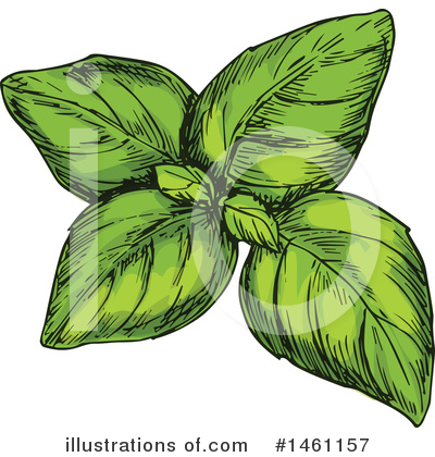 Basil Clipart #1461157 by Vector Tradition SM