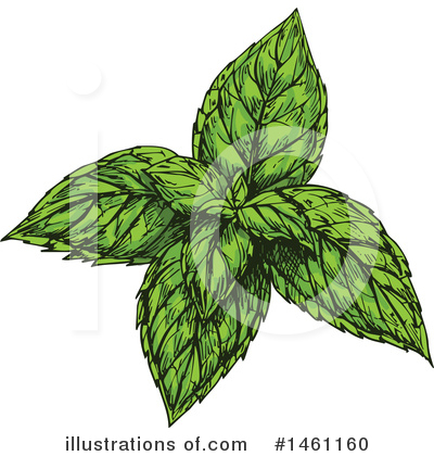 Royalty-Free (RF) Herb Clipart Illustration by Vector Tradition SM - Stock Sample #1461160