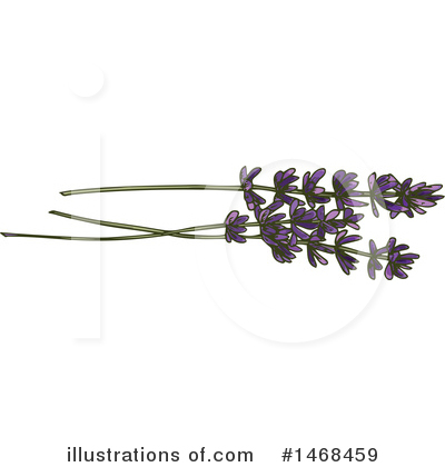 Lavender Clipart #1468459 by Vector Tradition SM