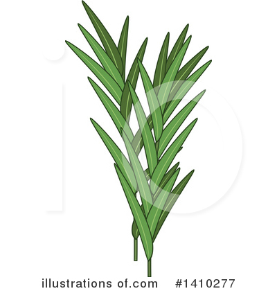 Herbs Clipart #1410277 by Vector Tradition SM