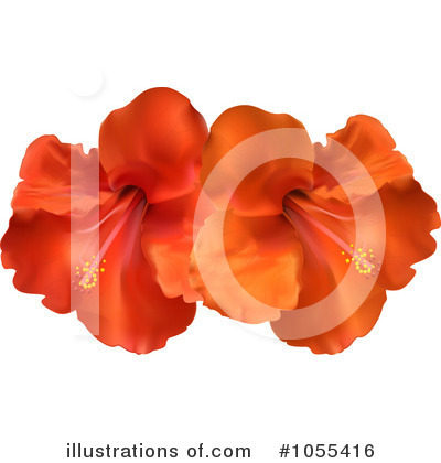 Royalty-Free (RF) Hibiscus Clipart Illustration by elaineitalia - Stock Sample #1055416
