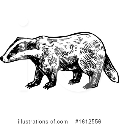 Royalty-Free (RF) Honey Badger Clipart Illustration by Vector Tradition SM - Stock Sample #1612556