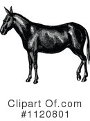 Horse Clipart #1120801 by Prawny Vintage