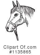Horse Clipart #1135865 by Picsburg