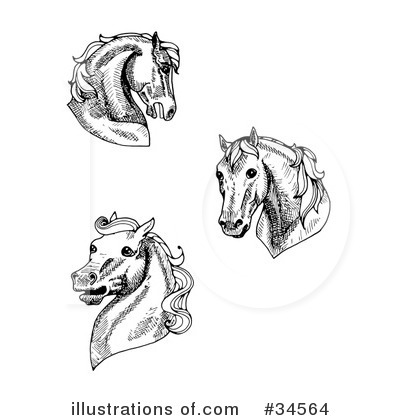 Royalty-Free (RF) Horse Clipart Illustration by C Charley-Franzwa - Stock Sample #34564