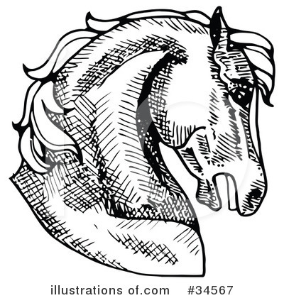 Royalty-Free (RF) Horse Clipart Illustration by C Charley-Franzwa - Stock Sample #34567