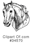 Horse Clipart #34570 by C Charley-Franzwa