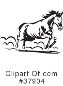 Horse Clipart #37904 by David Rey