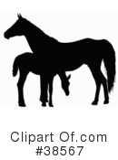 Horse Clipart #38567 by dero